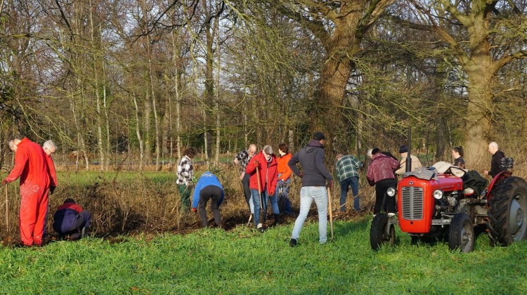 Honderden jonge bomen geplant in buitengebied Laren