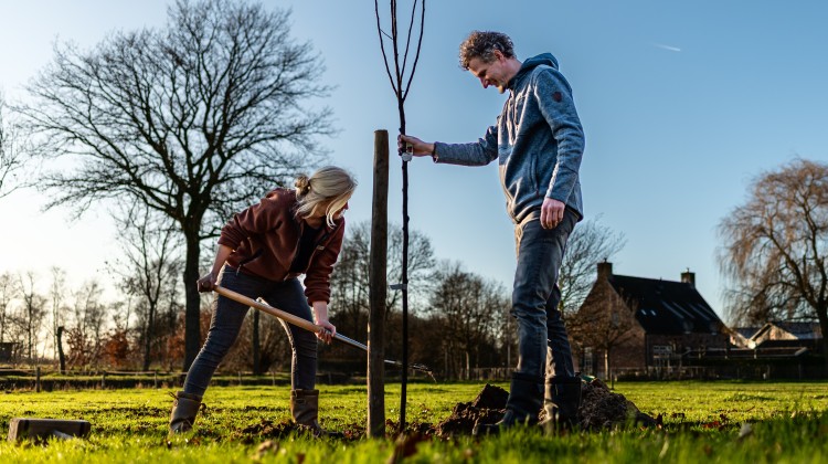 Maak het buitengebied van Nettelhorst en Kulsdom nog mooier