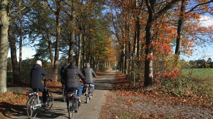 Herfsttinten- boerenkooltocht Laren Gld