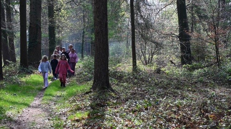 Achtste editie Rondom Exel trekt bijna 300 enthousiaste deelnemers