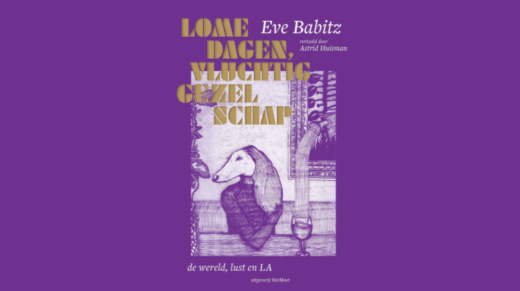 Leestip van Lovink; Lome dagen, vluchtig gezelschap