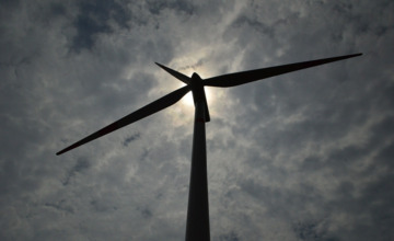 Hoe de Zutphense windmolens nog steeds veel stof doen opwaaien