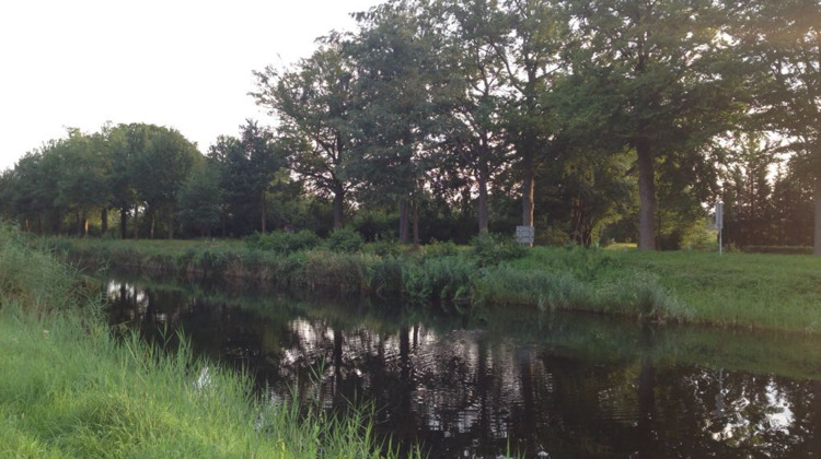 Update over kap 48 bomen langs kanaal bij Eerbeek