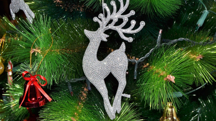 Te vroeg voor pepernoten? Bij deze supermarkt kun je al een kerstboom scoren