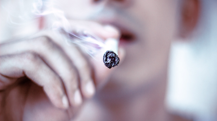 Waarom Zutphense coffeeshops misschien legaal aan wiet kunnen komen