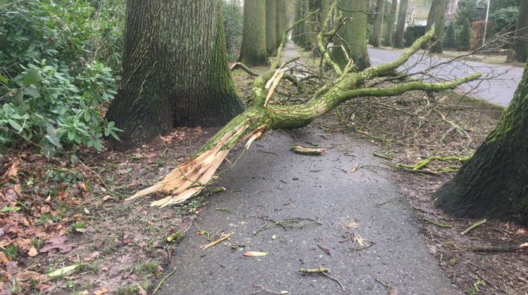 Houd je stuur goed vast! Flinke windstoten in de regio