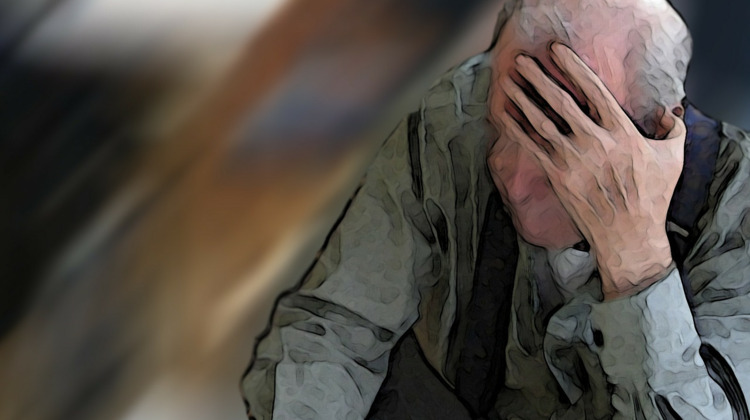 Maak Zutphen dementievriendelijk, 'en een beetje snel als het kan'